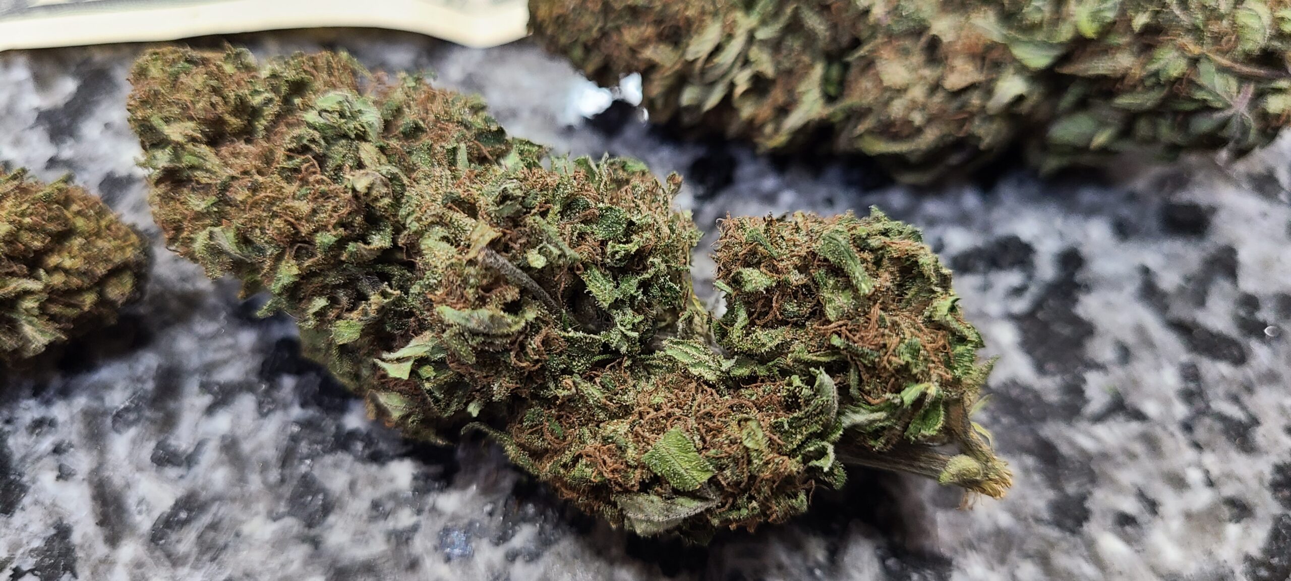 Victory Haze - Image 9