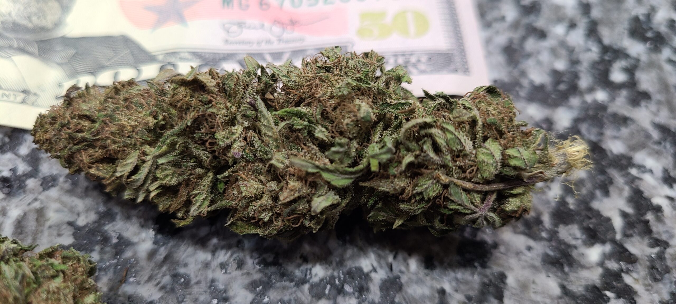 Victory Haze - Image 10