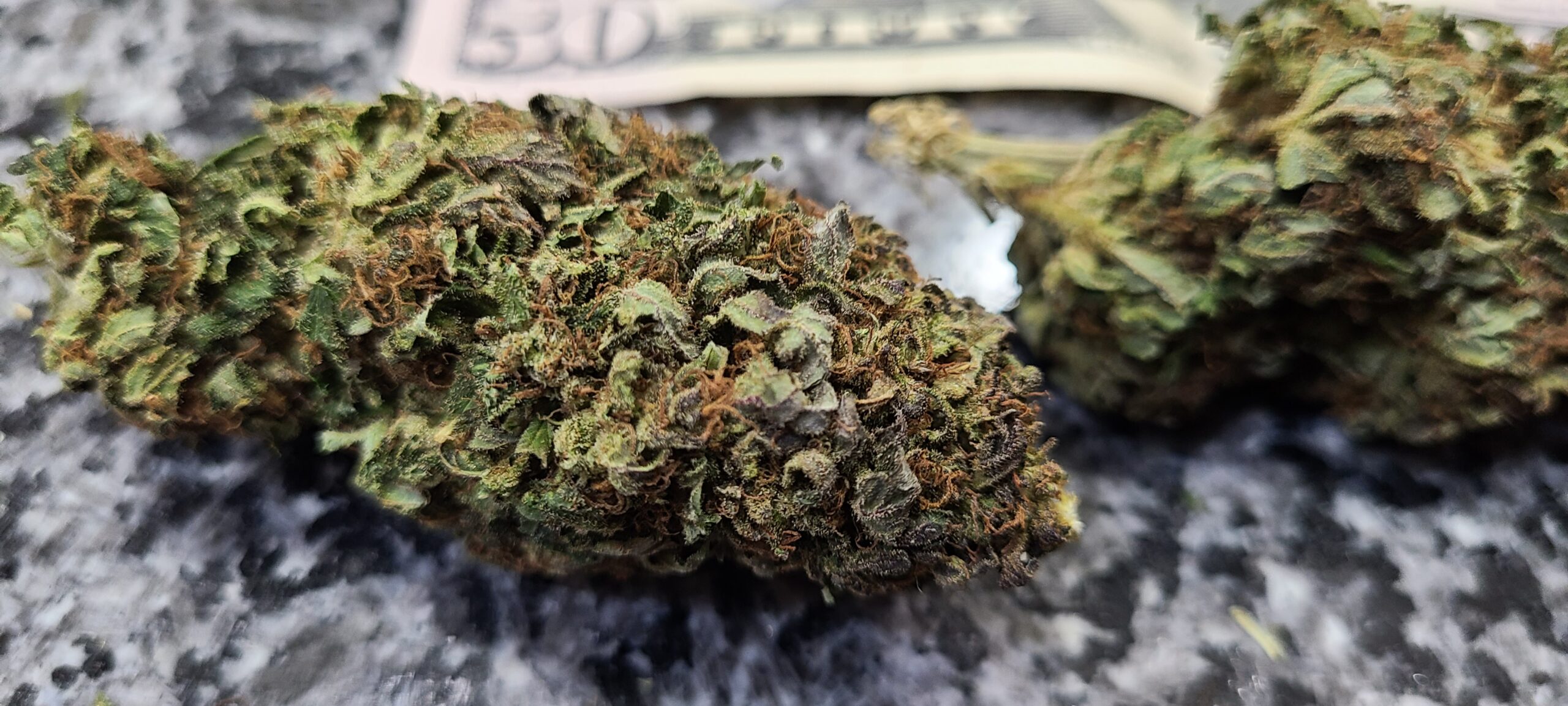 Blueberry Diesel - Image 9