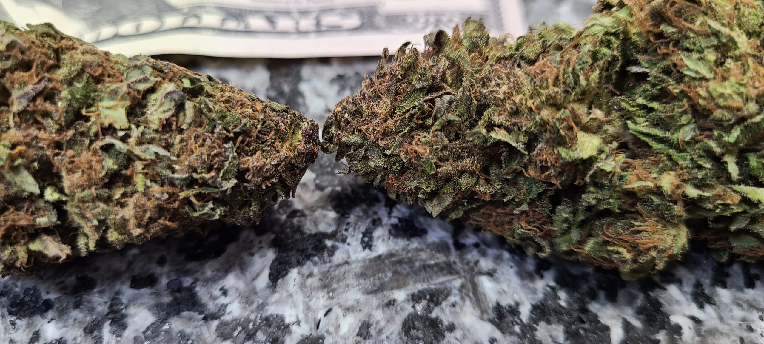 Blueberry Diesel - Image 10