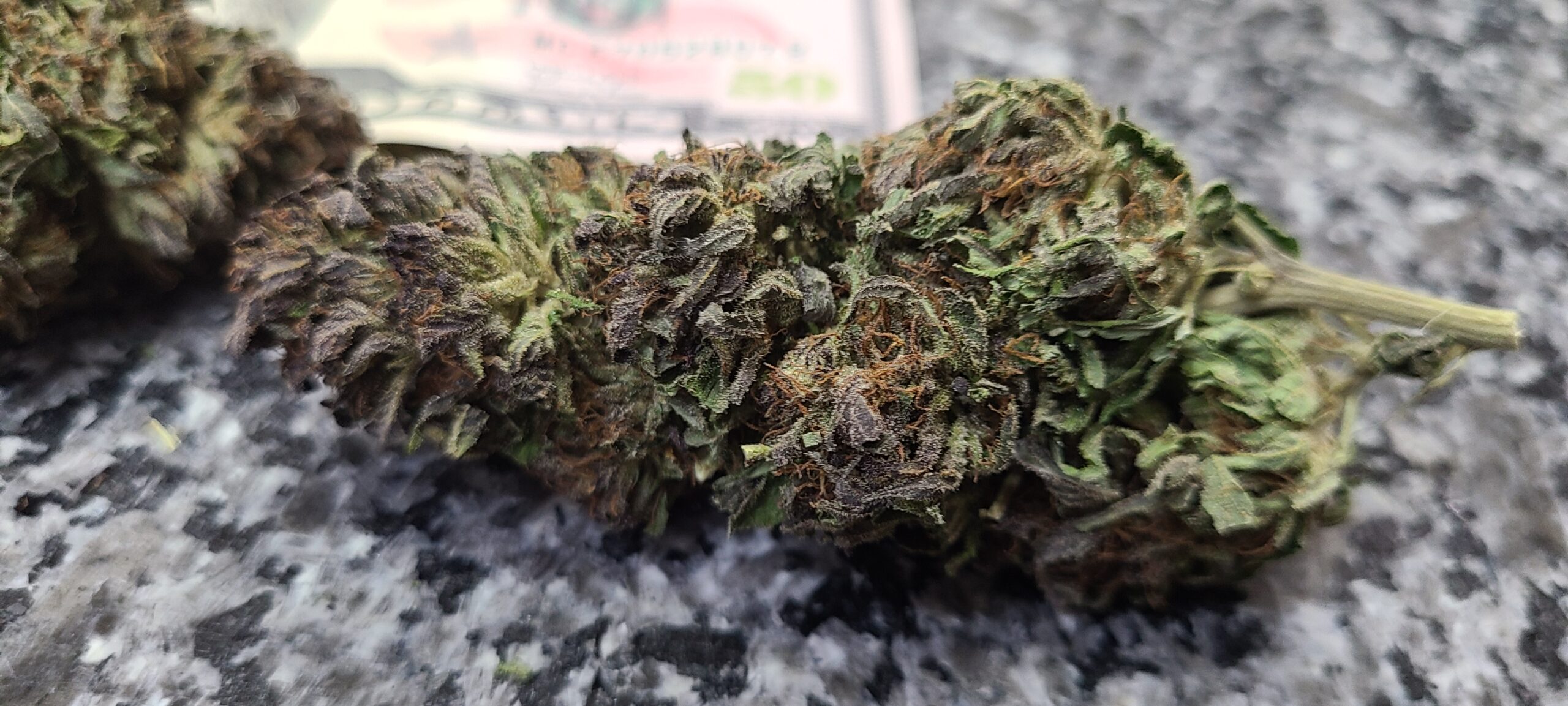 Michigan Kush - Image 10