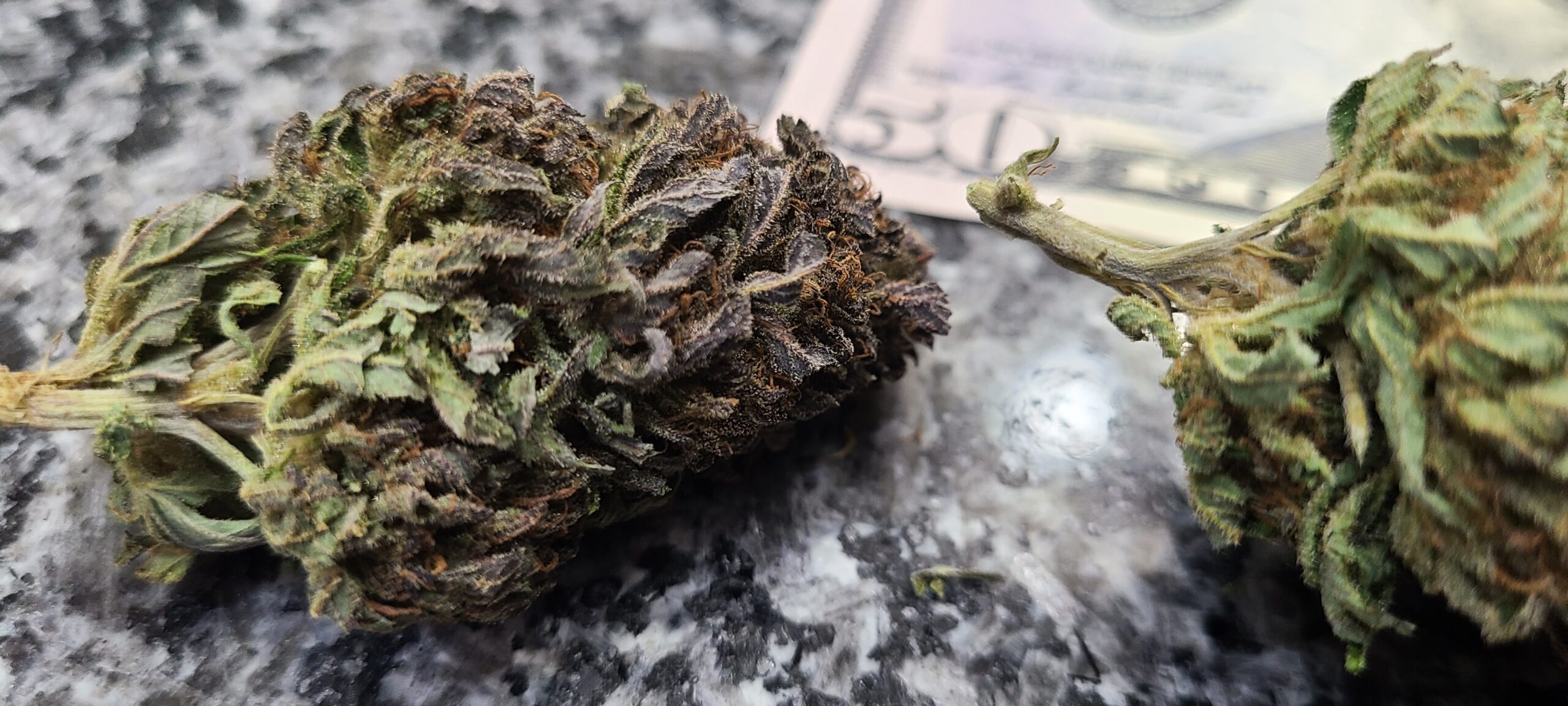 Michigan Kush - Image 11