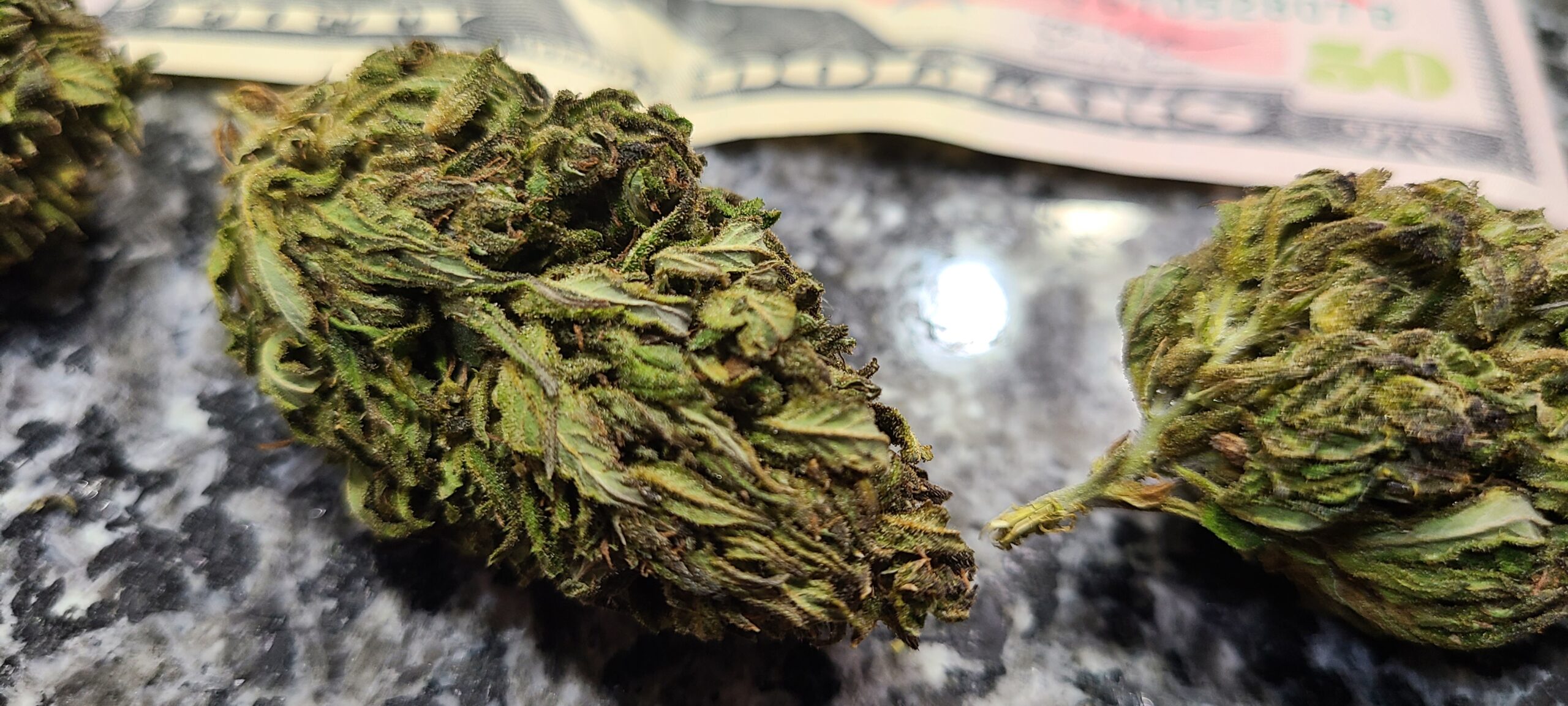 Kush Live Vape Cartridge - Image 8