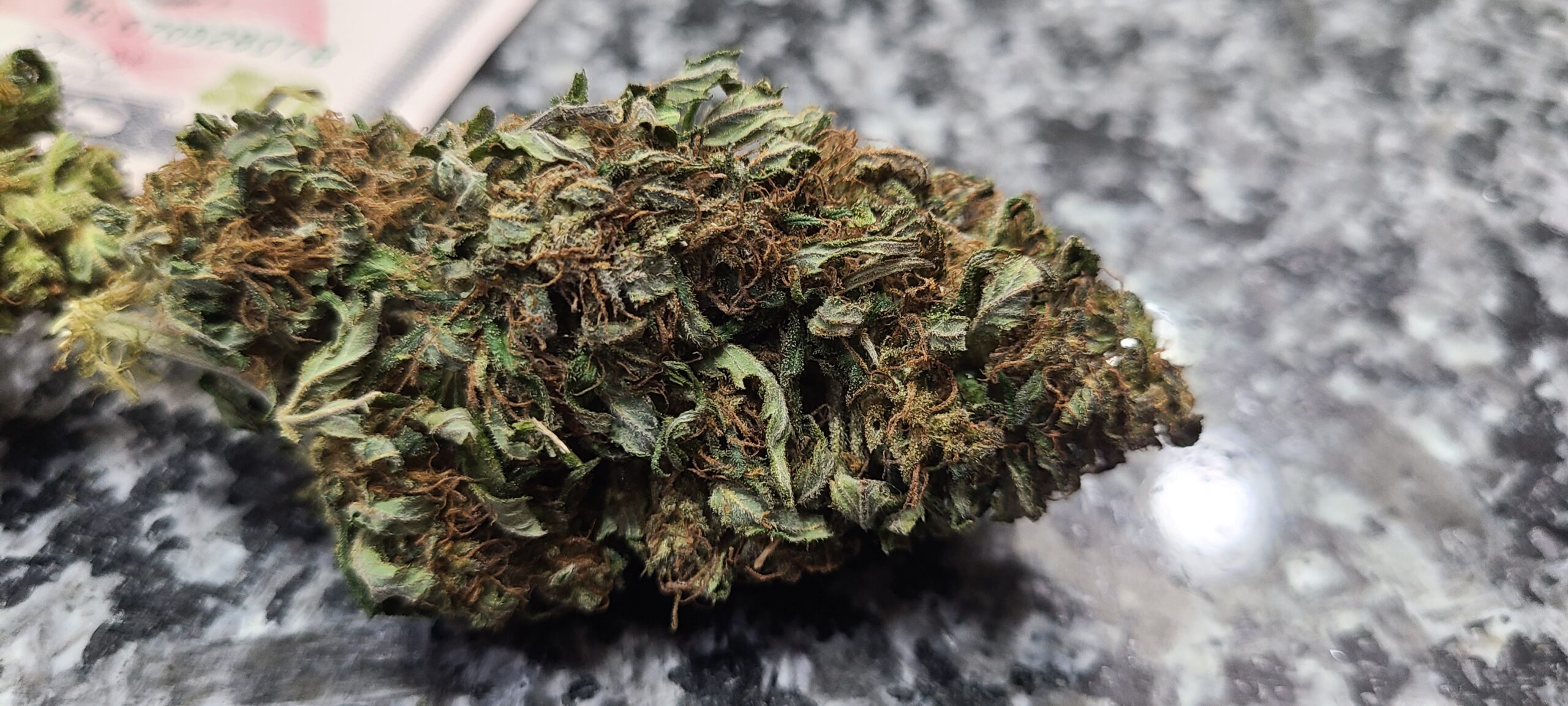 Berry Blossom Live Bubble Hash - Image 7