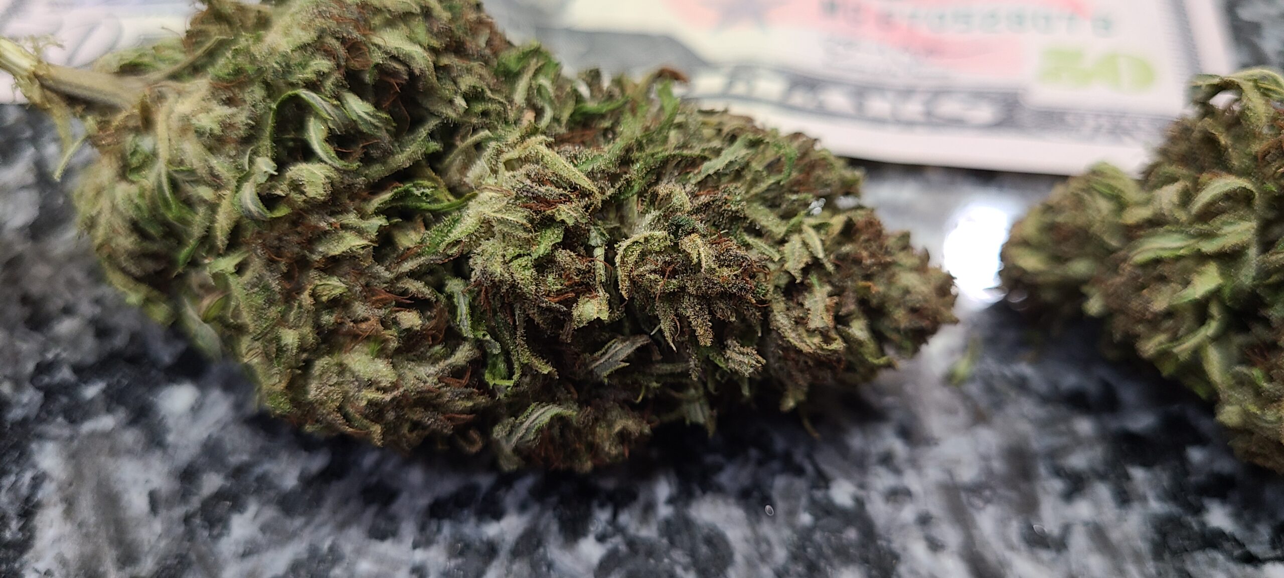 CBD Remedy Live Bubble Hash - Image 5
