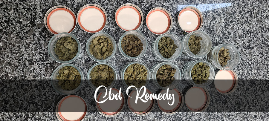 CBD Remedy Live Bubble Hash