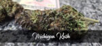 Michigan Kush