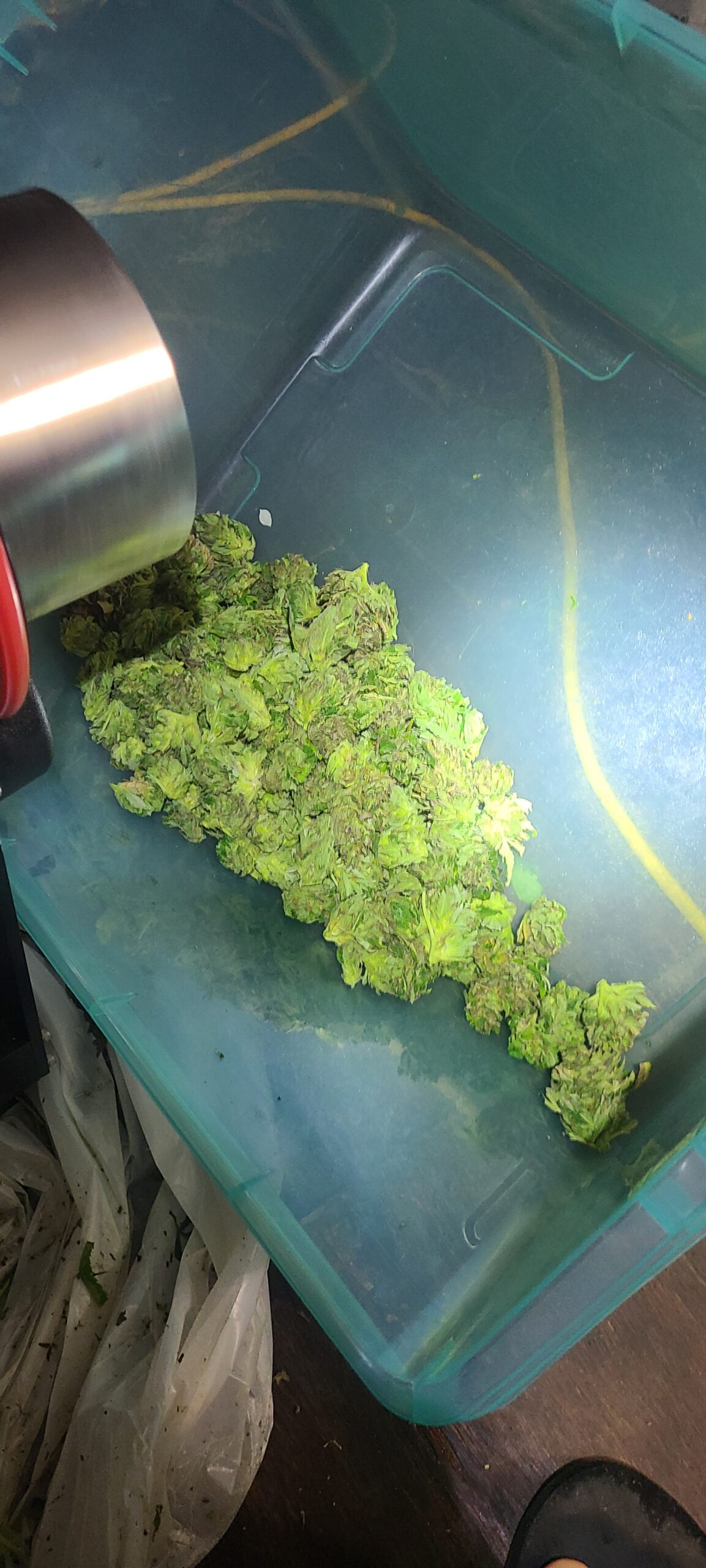 Michigan Lifter Organic Resin 1 Gram - Image 6