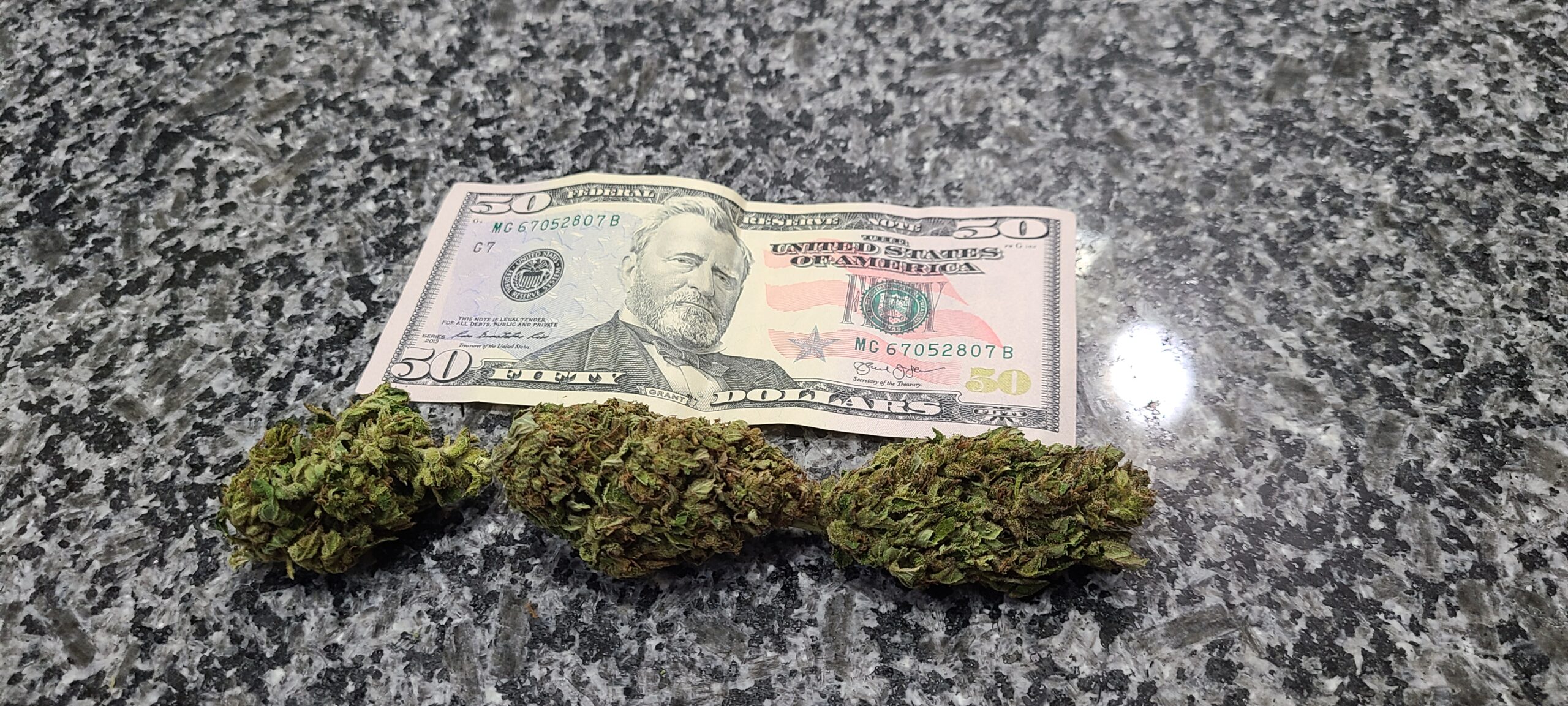 Michigan Lifter Organic Resin 1 Gram - Image 7