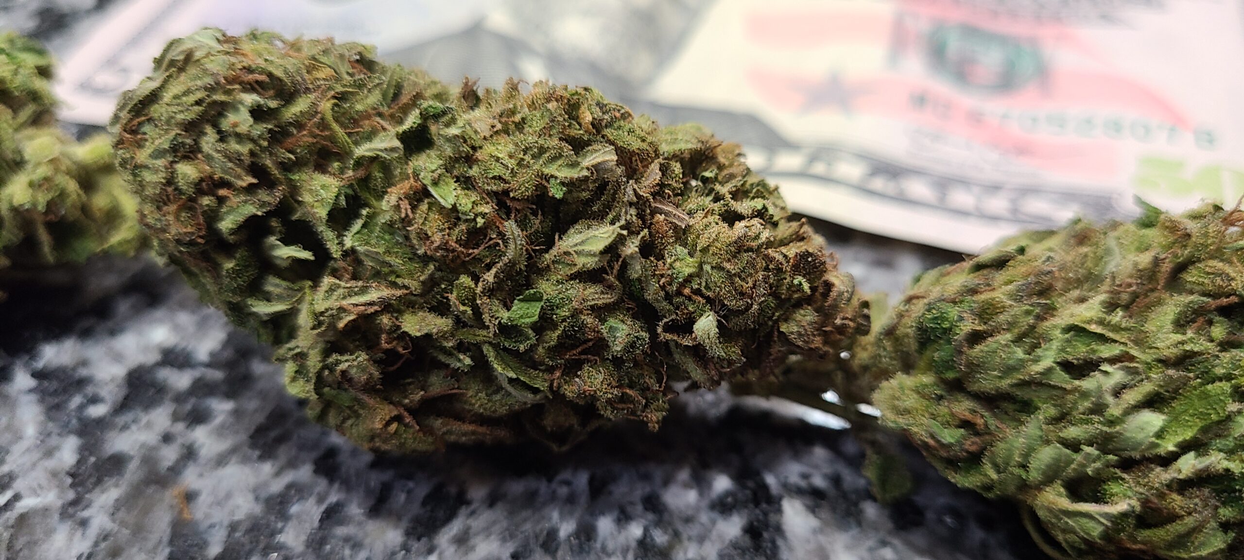 Michigan Lifter Organic Resin 1 Gram - Image 8