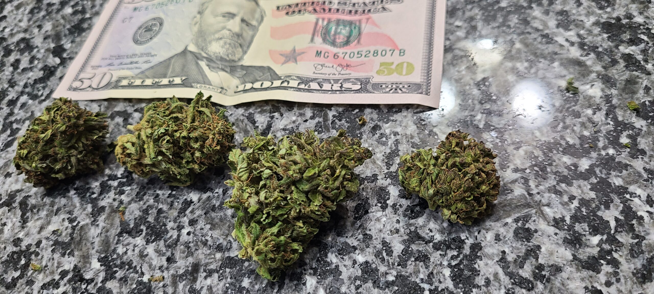 Rewind Organic Resin 1 Gram - Image 7