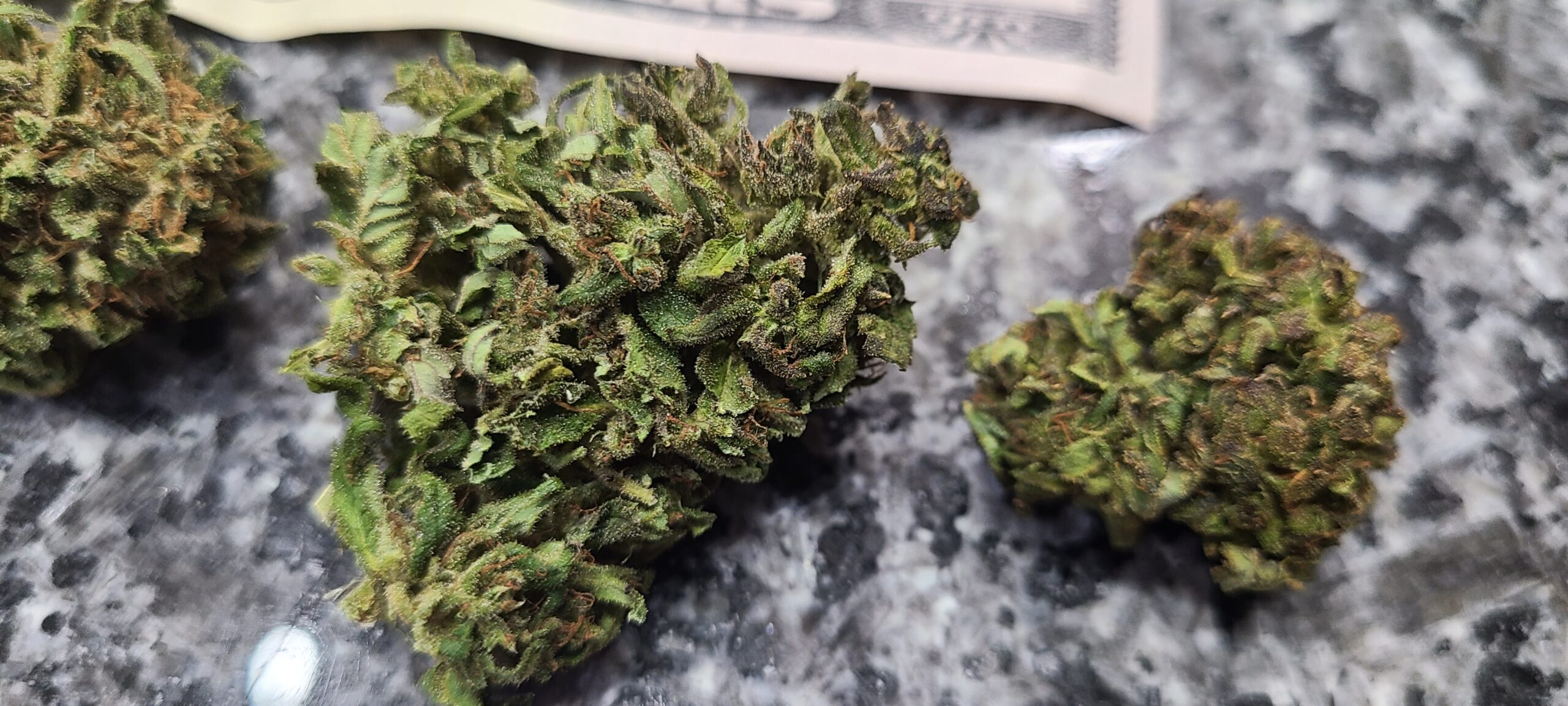 Rewind Organic Resin 1 Gram - Image 8